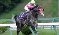 ダート競馬の祭典・JBC　出走馬の選定方法に一考の余地あり