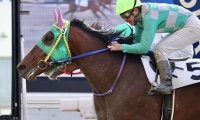 【門別競馬情報】JRAから転入3連勝の3歳馬フレーズメーカー、王冠賞2着クラウォーら実績上位馬らも撃破できるか注目の一戦「えりもオープン」/地方競馬情報