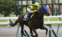 【富士S「見逃せない調教師」ベスト3】東京芝1600mでは2位にダブルスコアの20勝。馬券的に外せないのはこの調教師だ！