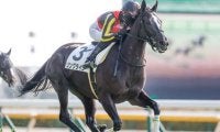 【富士S出走馬・騎手確定】ソングライン＆池添謙一騎手、ダノンザキッド＆川田将雅騎手など17頭