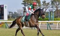 【JRA】2019年フェアリーSの覇者フィリアプーラがノーザンFで繁殖入りへ