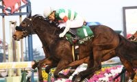 フィリアプーラが競走馬登録抹消