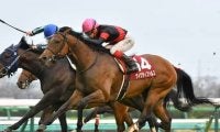 菊花賞は血統から長距離適性を分析。今後の急成長も期待できる２頭は？