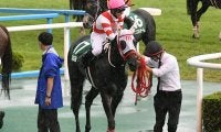 【JRA】熊本産馬ヨカヨカが登録抹消、北海道のサンデーヒルズで繁殖馬に