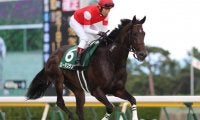 【富士S予想】好調馬も過信禁物!? GII昇格でケシウマが注目する条件とは/JRAレース展望