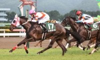 ヨカヨカが競走馬登録抹消