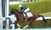【阪神4R新馬戦結果】米国産馬ペルアアが逃げ切って人気に応える
