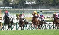 【万哲の馬場予報】内をロスなく立ち回る馬が優位？