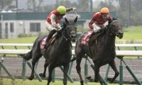 【菊花賞予想】クラシック最終戦、京都と大きく異なる阪神コースがポイントに