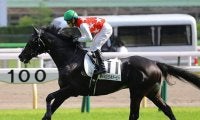 【菊花賞 13時時点オッズ】ステラヴェローチェが単勝3.9倍の1番人気、レッドジェネシスが4.5倍で続く