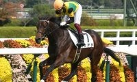 【阪神5R新馬戦結果】超高額馬リアドが人気に応えて3馬身差V