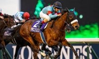 【JRA】ジャパンカップは今年もロンジンとパートナーシップを締結