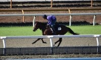 母系にGI4勝のクロノジェネシス、アドマイヤジェイがデビュー/関西馬メイクデビュー情報