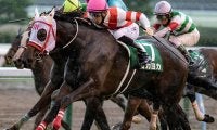 【先週のJRA抹消馬】熊本産馬ヨカヨカ、2019年フェアリーS覇者フィリアプーラなど
