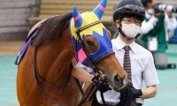 【スワンS展望】昨年は単勝万馬券が出た波乱含みのGI前哨戦