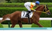 【門別競馬情報】遠征続く門別勢、26日盛岡もクラヴィスオレアが重賞制覇！残り5日となった門別メイン12Rは「むかわ町長杯鵡川ししゃも特別」/地方競馬情報