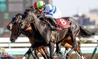 【天皇賞・秋「見逃せない調教師」ベスト3】東京芝2000mで複勝率63.5％、複勝回収率110％。「見つけたら買い！」の調教師は？