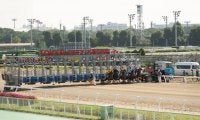 大井競馬場が世界唯一の左右両回りコースへ！初の左回りレースは11月19日に実施
