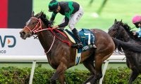 【香港ヴァーズ】ラヴズオンリーユー、タイトルホルダー、ユーバーレーベンなど日本馬14頭が登録