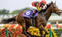 【香港カップ】日本馬19頭が登録　グランアレグリアはマイル、ラヴズオンリーユーはヴァーズと兼登録