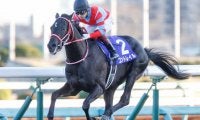 【天皇賞・秋前日オッズ】三冠馬コントレイルが2.6倍で1番人気、グランアレグリアが2.9倍で続く