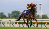 【WIN5予想】天皇賞(秋)は前走で先行していた馬が不振