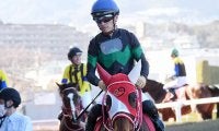 【BCフィリー＆メアターフ 出走見込馬】日本馬ラヴズオンリーユー、英のアウダーリャ、米のウォーライクゴッデスなど