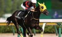 【JRA】2021年新潟リーディングは菅原明良騎手が圧勝！2位に12勝差の33勝