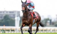 【JRA】木村哲也調教師の調教停止期間が満了、岩戸孝樹厩舎から管理馬が再転厩