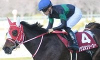 JRAは4重賞、地方は水曜日にJBC、海外ではブリーダーズCが開催/今週の競馬界の見どころ
