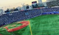 【プロ野球】戦力外通告から復活するのはズバリこの選手　各球団の成績から占う