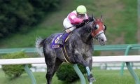 【JBCスプリント 注目馬】目下8戦連続連対中の超安定株がJpnI制覇へ
