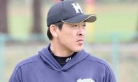 日本ハム、厚澤和幸投手コーチの退団を発表　球団一筋26年、栗山前監督の“参謀役”