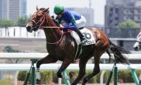 京王杯２歳Ｓは再び波乱傾向か。前走の敗戦で人気落ちした素質馬の反撃に期待