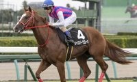 【京王杯2歳S予想】C.ルメール騎手が過去5年で4勝！ 関西馬が3年連続連対中だが…/JRAレース展望