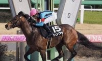 シュウジが競走馬登録抹消