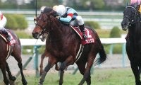【JRA】2016年阪神Cなどを制したシュウジがアロースタッドで種牡馬入りへ