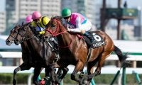 【京王杯2歳S予想】キャリアの浅い馬同士のレースだからこそ距離適性を重視