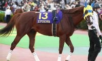 【武蔵野S想定】エアスピネル、ダイワキャグニー、サトノアーサーなど芝重賞ウイナーが多数