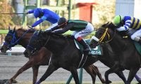 【福島記念想定】重賞3勝馬コントラチェック、前年覇者バイオスパークなど21頭