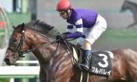 【デイリー杯2歳S想定】新潟2歳S覇者セリフォス、アスター賞覇者プルパレイなど7頭