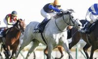 【アルゼンチン共和国杯予想】ノーザンファーム生産馬が5連勝中！ 今年は大挙9頭が参戦/JRAレース展望