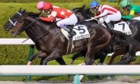 【阪神7R】武豊 レッドブロンクスが2勝目