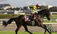【本日の注目ポイント】アルゼンチン共和国杯とみやこS、日本馬6頭参戦の米BCにも注目