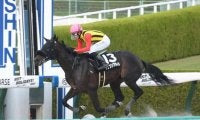 【もちの木賞結果】リーチザクラウン産駒クラウンプライドが初戦に続いて完勝