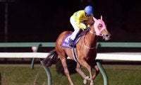 【盛岡・絆C】キラットダイヤがまたもや圧勝！短距離重賞4連勝の快挙を達成