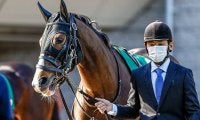 GIエリザベス女王杯などJRAは重賞が5レース/今週の競馬界の見どころ