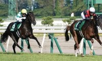 【デイリー杯2歳S登録馬】セリフォスなど8頭