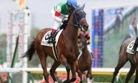 【デイリー杯2歳S展望】伝統の2歳重賞、あの馬の連勝を期待したい
