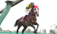 【福島記念想定騎手】ステイフーリッシュは坂井瑠星騎手、アラタは大野拓弥騎手
